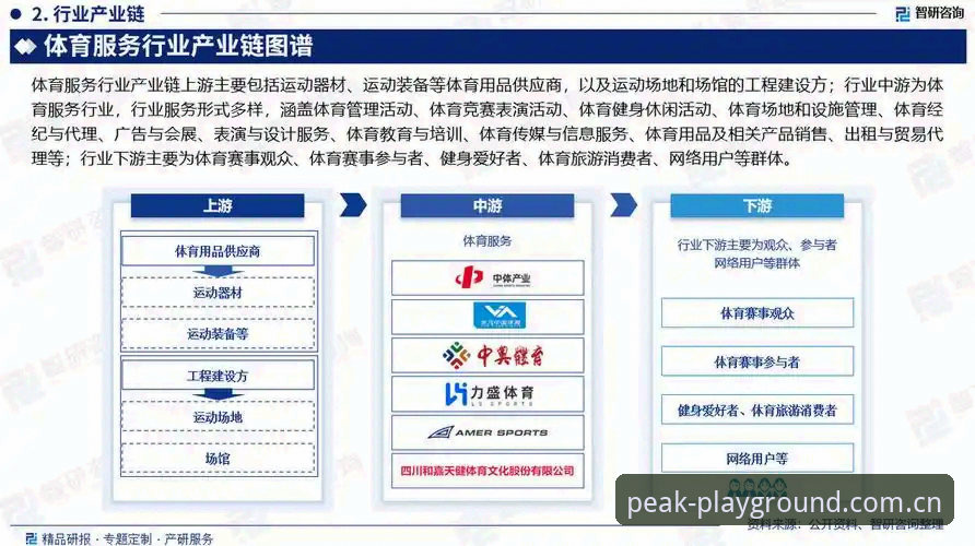 完美体育官网行业趋势与用户体验深度解析